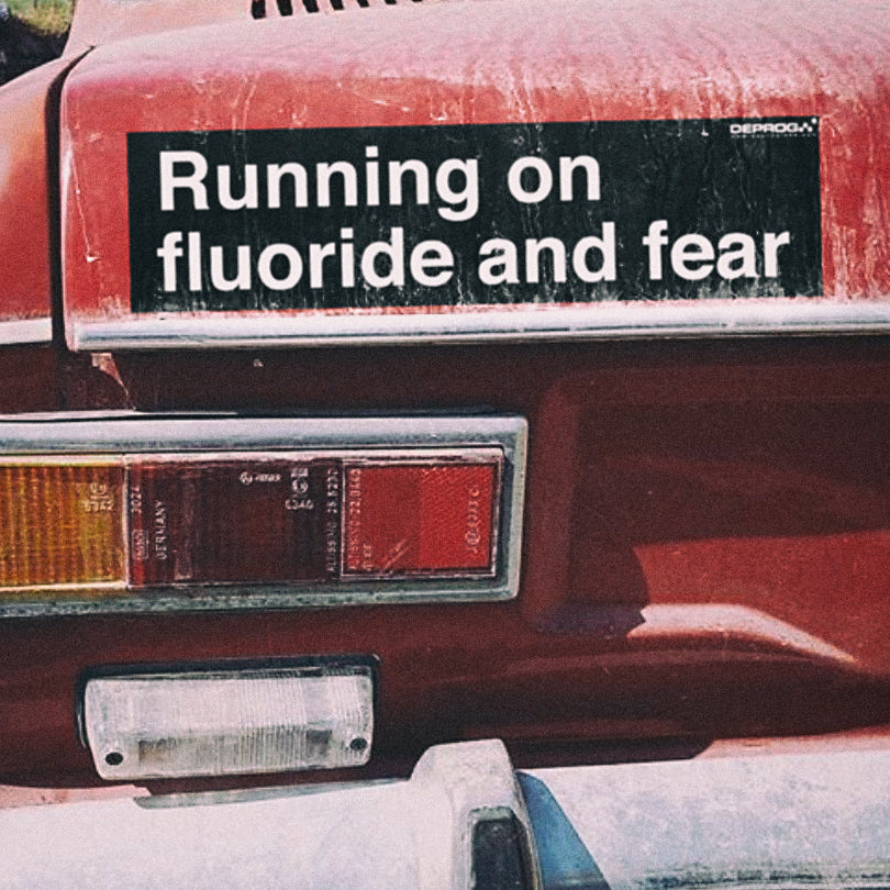 Bumper Stickers 11.5" x 3"