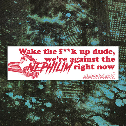 Wake The F**k up Dude, We're Against The Nephilim Right Now Car Magnet 10"x3"